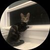 mylo_3